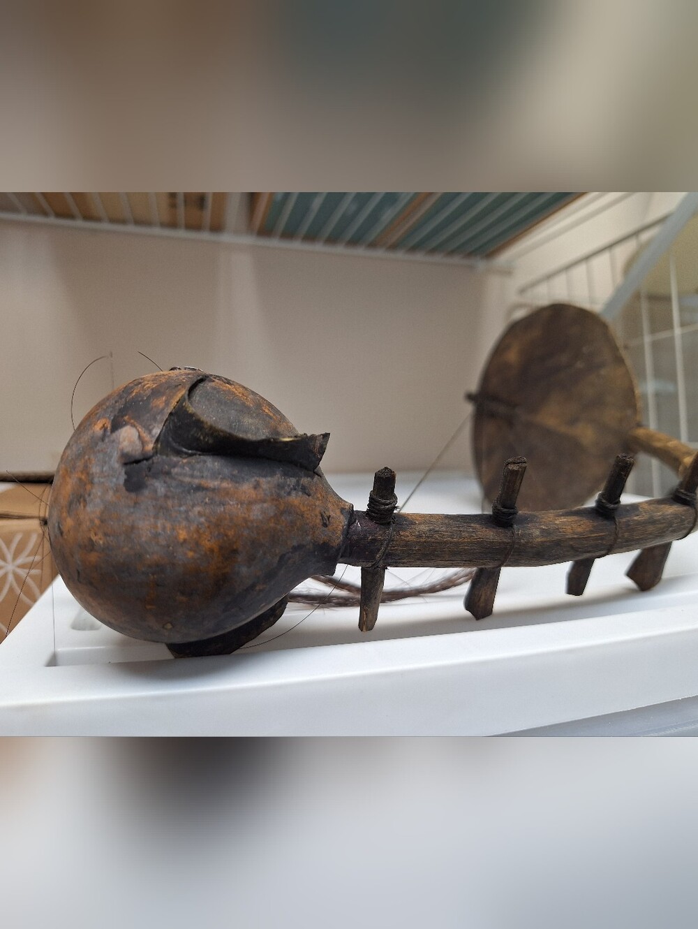 African Gourd Guitar
